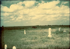 Image description is not available for PHO-4-W689-928